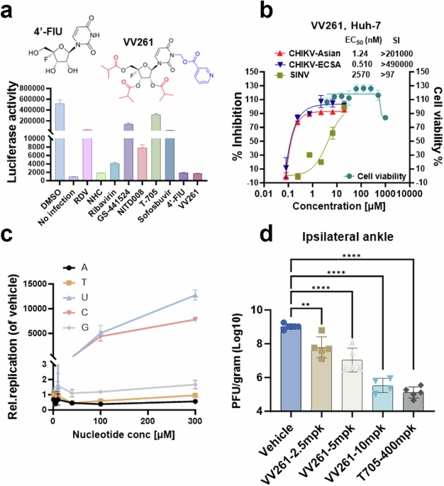 Investigation of a clinical trial drug VV261 as a potent antiviral candidate against Chikungunya virus