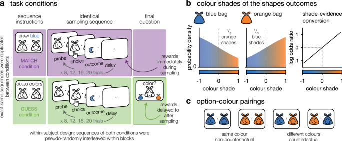 Competing cognitive pressures on human exploration in the absence of trade-off with exploitation