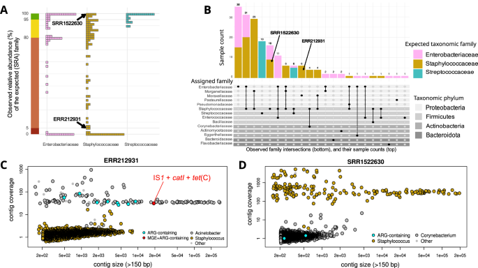 Genome contamination may lead to an overestimation of horizontal gene transfer inferences