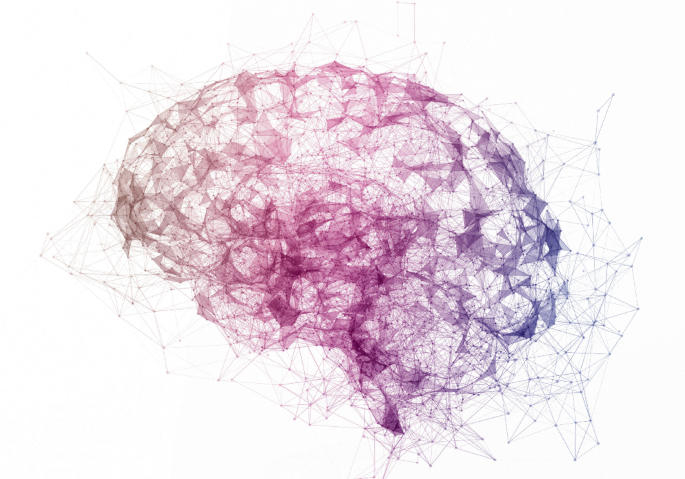 Heat exposure disrupts brain development