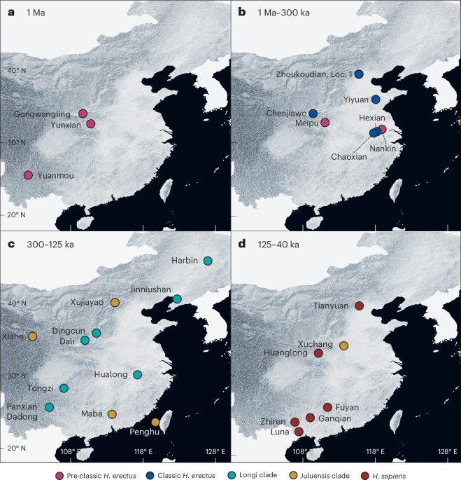 Palaeoanthropological evidence from China is changing the picture of hominin evolutionary history
