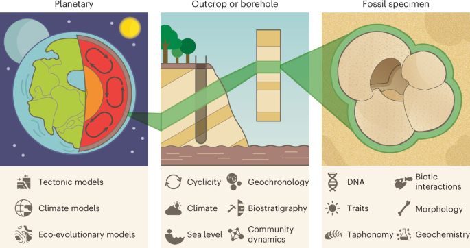 The billion-dollar case for sustaining palaeontology’s digital databases