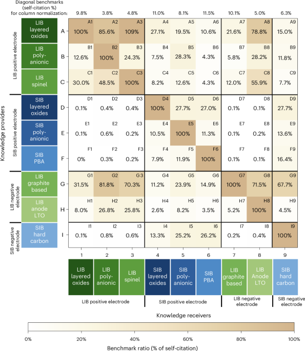 Knowledge interdependencies between lithium- and sodium-ion battery chemistries