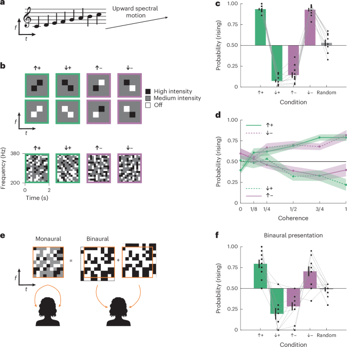 Humans can use positive and negative spectrotemporal correlations to detect rising and falling pitch