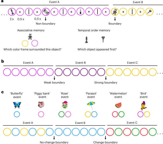 The role of context in continuity and segmentation