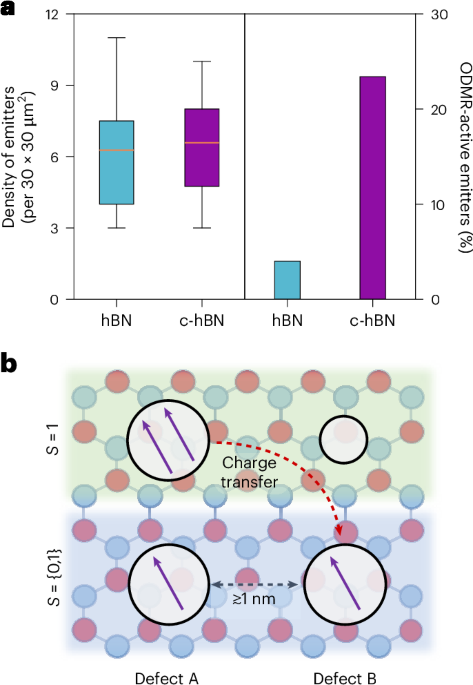 Narrowband quantum emitters with optically addressable spin states generated in hexagonal boron nitride