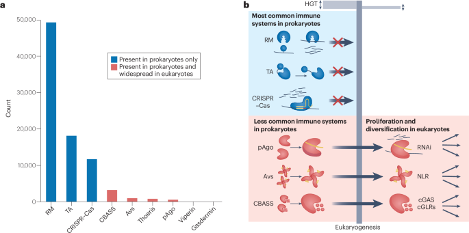 The paradox of immune systems conservation between prokaryotes and eukaryotes