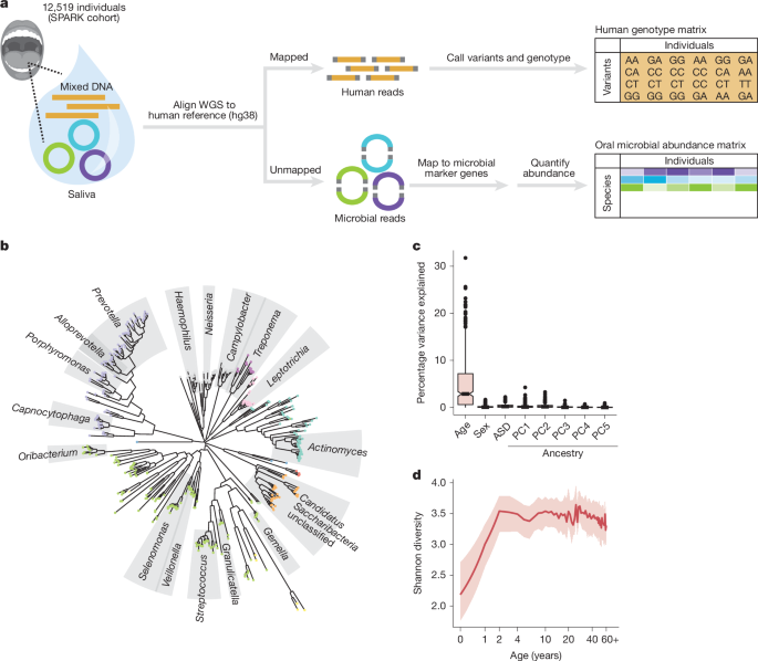 Human and bacterial genetic variation shape oral microbiomes and health