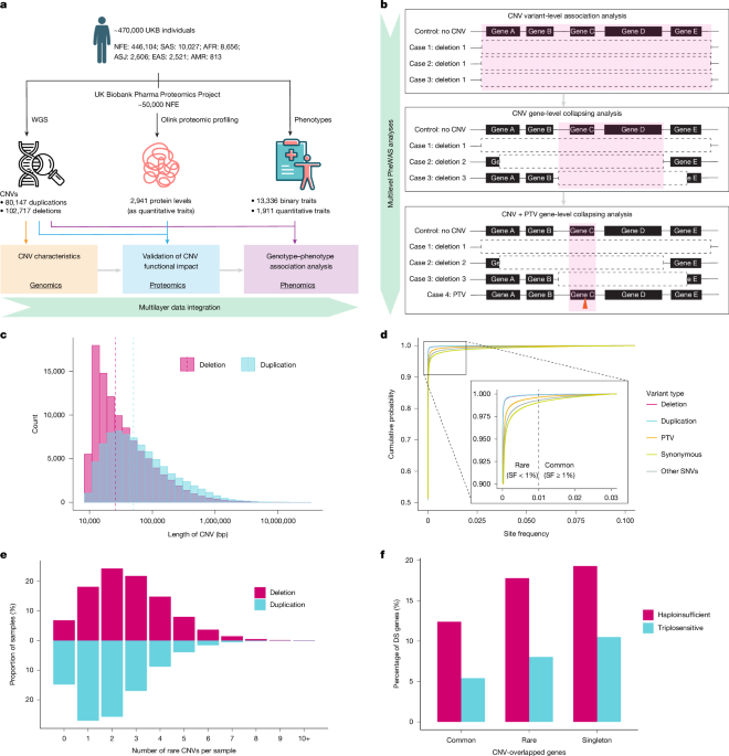 Phenome-wide analysis of copy number variants in 470,727 UK Biobank genomes
