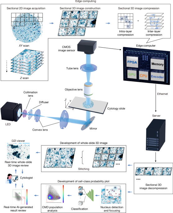 Clinical-grade autonomous cytopathology through whole-slide edge tomography