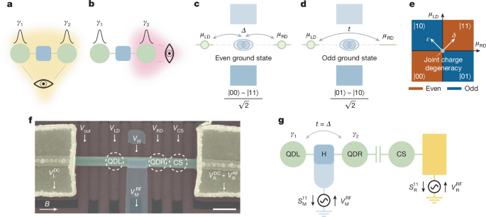 Single-shot parity readout of a minimal Kitaev chain