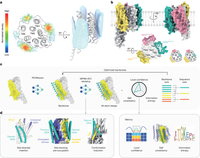 De novo design of GPCR exoframe modulators