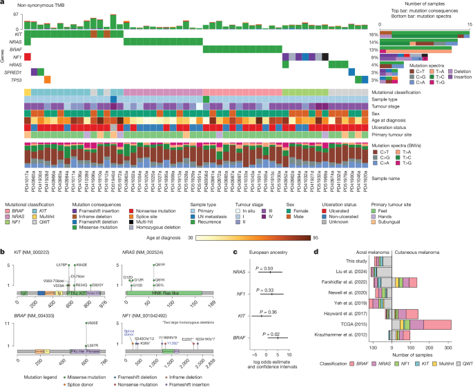 Ancestry and somatic profile indicate acral melanoma origin and prognosis
