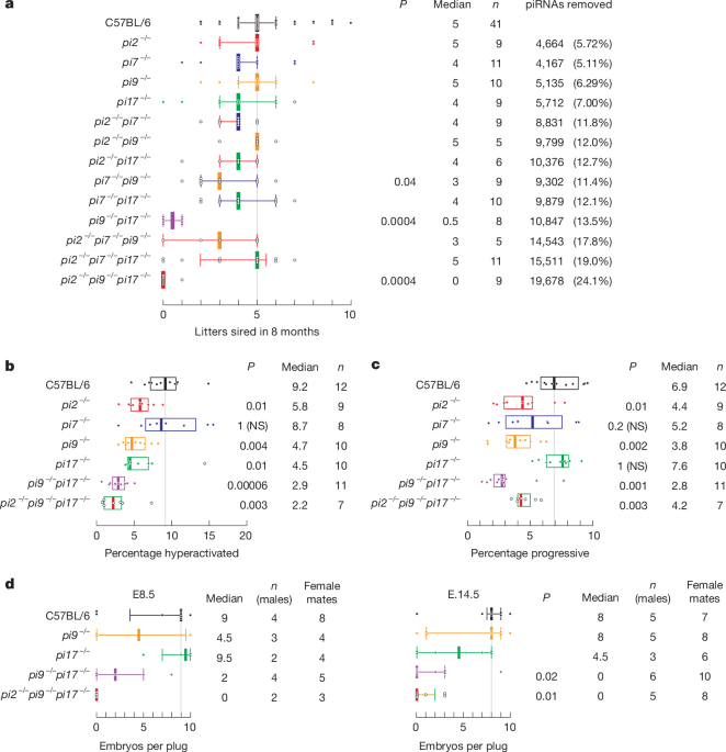 Cleavage of mRNAs by a minority of pachytene piRNAs improves sperm fitness