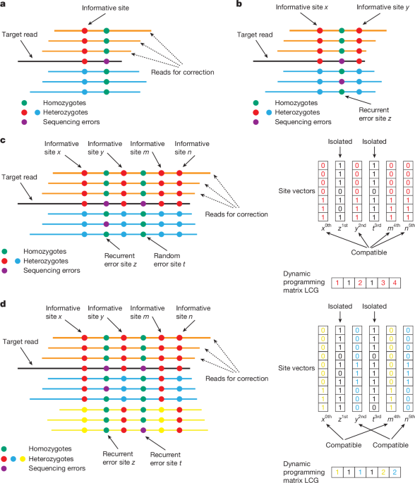 Efficient near-telomere-to-telomere assembly of nanopore simplex reads
