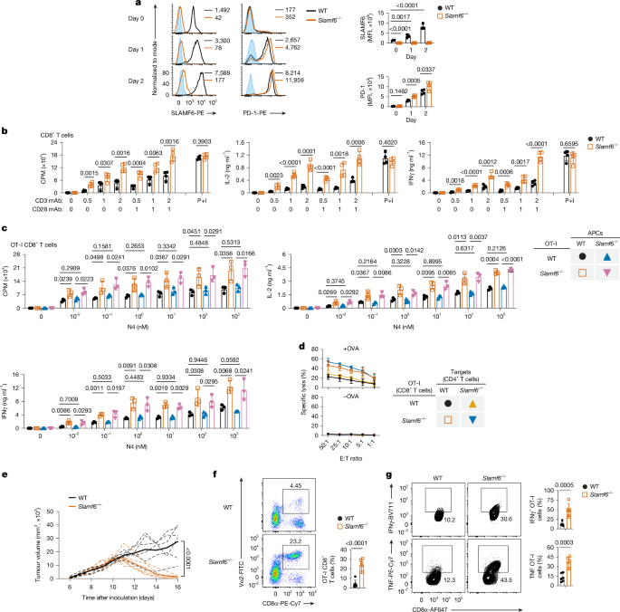 SLAMF6 as a drug-targetable suppressor of T cell immunity against cancer
