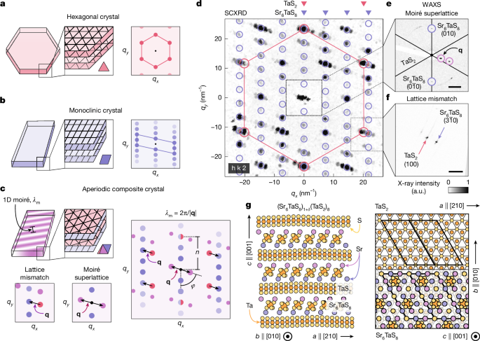 Higher-dimensional Fermiology in bulk moiré metals