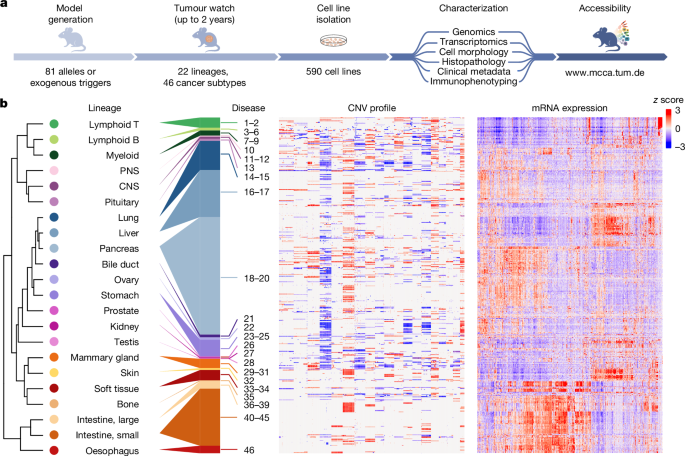 A disease model resource reveals core principles of tissue-specific cancer evolution