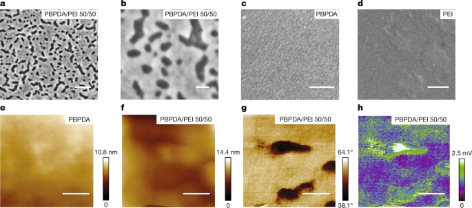 Giant energy storage and dielectric performance in all-polymer nanocomposites