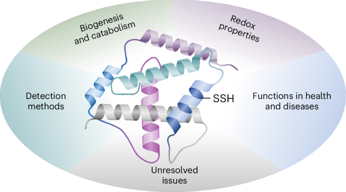 Multifaceted roles for persulfide species in redox chemical biology
