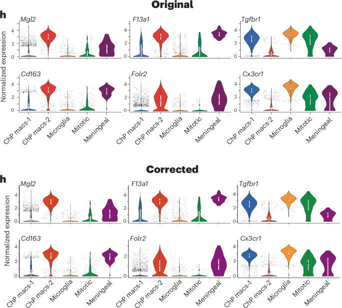 Publisher Correction: Diversity and immune dynamics of choroid plexus macrophages are shaped by distinct developmental origins