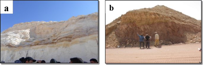 Chemical activation of kaolin-based clay bricks as a sustainable route to enhanced mechanical and thermophysical properties