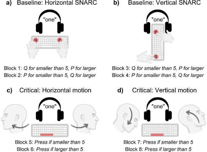 Motion-numerical compatibility affects magnitude classification