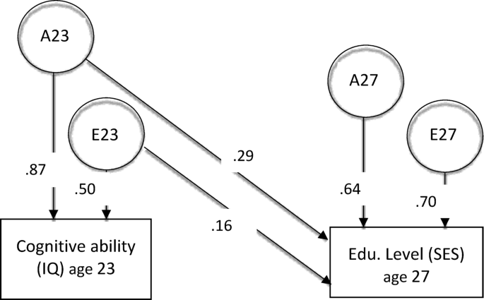 Longitudinal associations between cognitive ability and socioeconomic status are partially genetic in nature