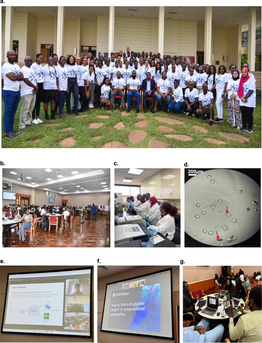 BioStruct-Africa’s scalable framework for AlphaFold-enabled research training and sustainable workforce development in Africa