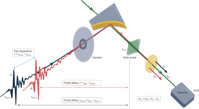 Terahertz 2D coherent spectroscopy for probing and controlling multicorrelations in quantum matter