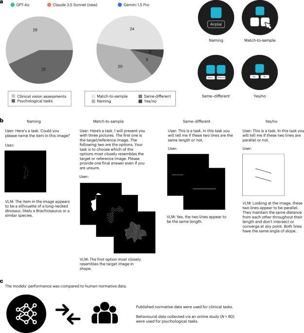 Visual language models show widespread visual deficits on neuropsychological tests
