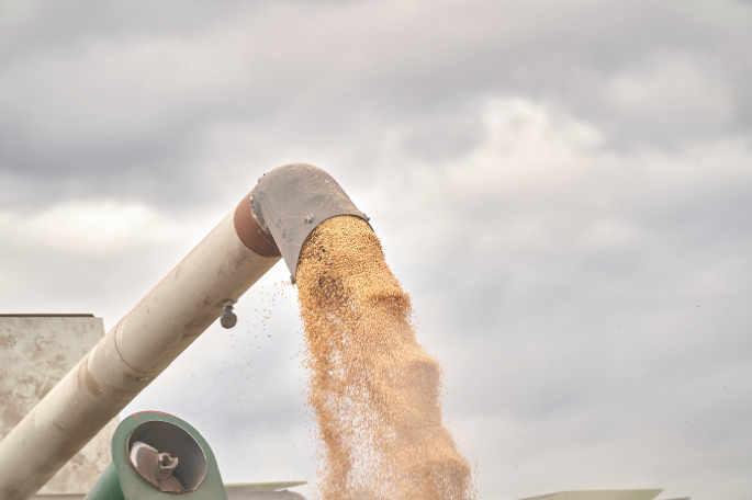 China’s recent policies for sustainable soybean trade