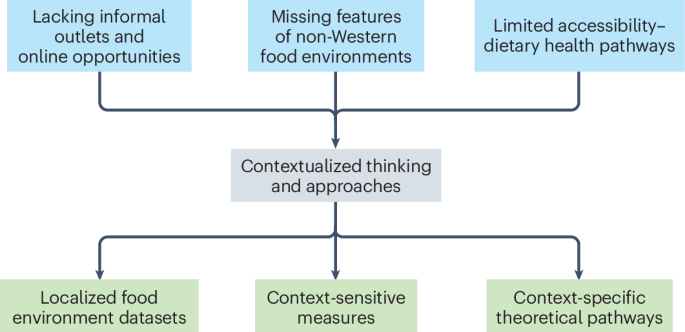 Contextualized urban food environment research