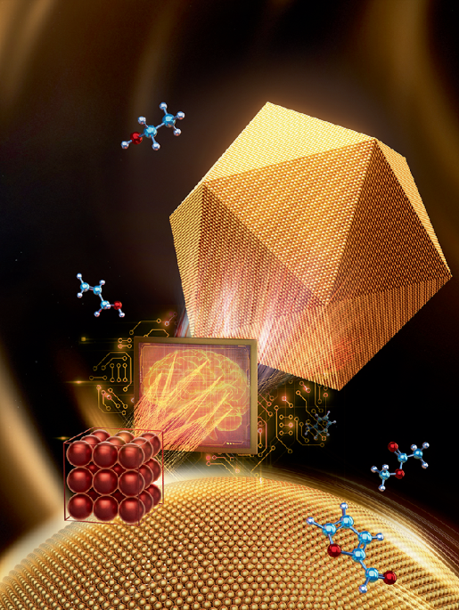 Cover runners-up of 2025 | Nature Computational Science