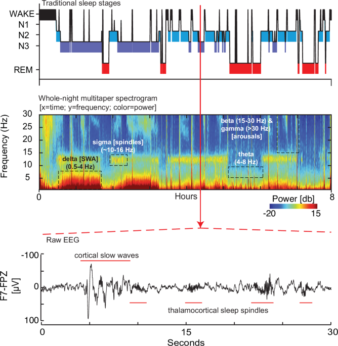 A primer on sleep neuroscience for psychiatry