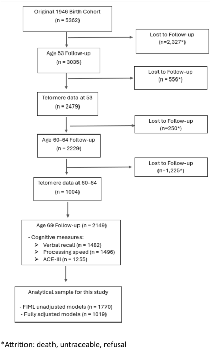 Telomere shortening in the association between accumulation of affective symptoms and later-life cognition