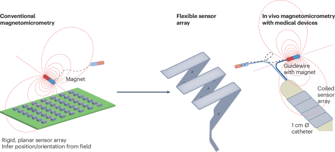 Flexible sensor arrays localize medical devices in live animal models