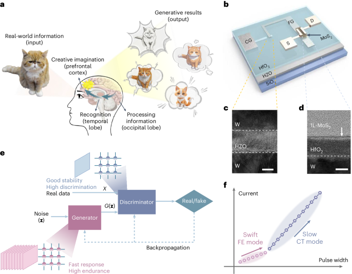 Dual-mode ferroelectric transistors for high-performance generative-adversarial-network-based imaging