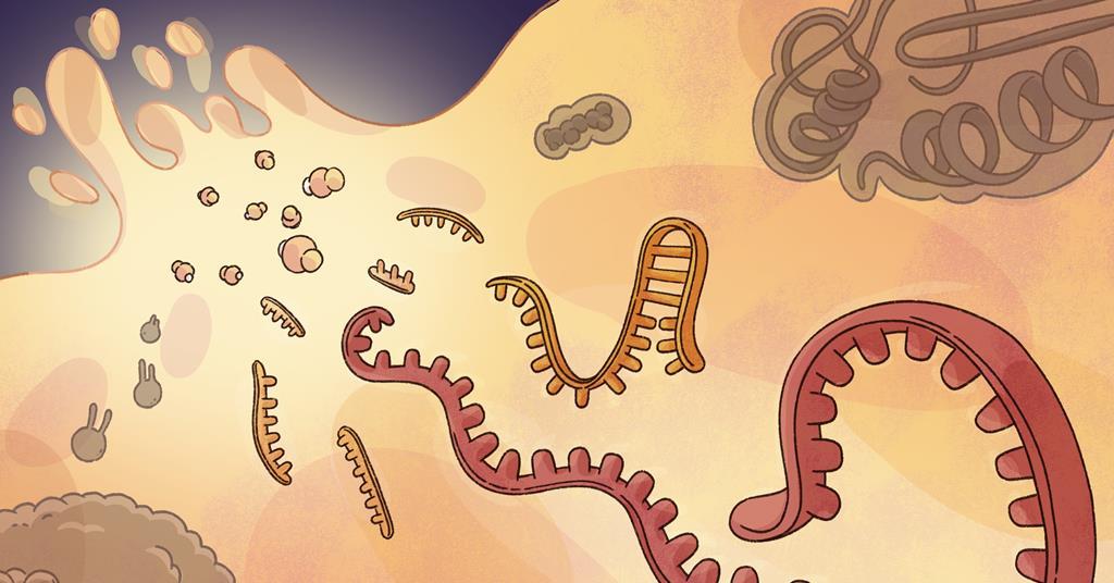 RNA world hypothesis: how ribozymes reveal the chemical origins of life on Earth
