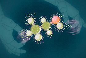 Integrating computational and experimental approaches in India | Opinion