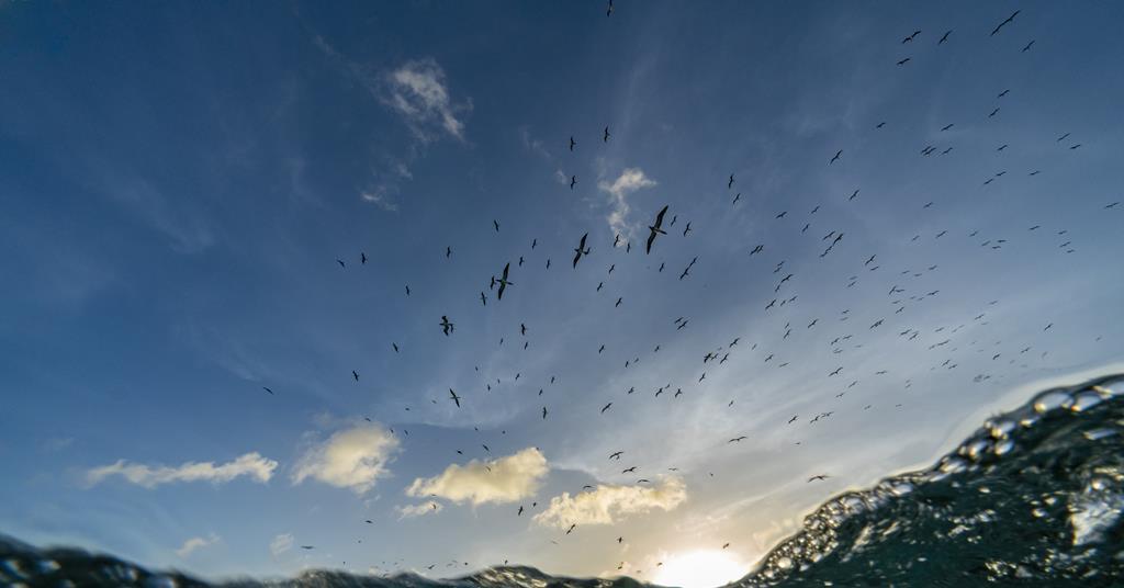 Why I’m leading an expedition in search of ‘dark oxygen’ | News