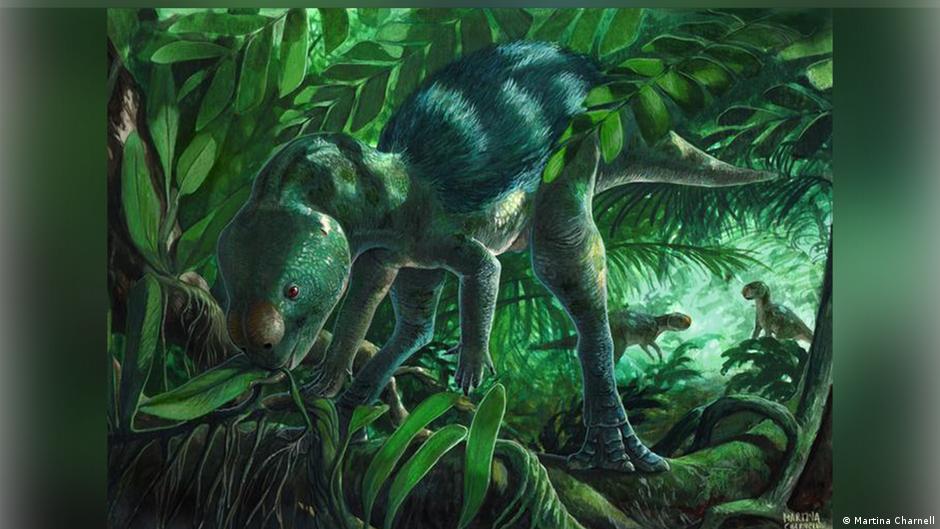 Tiny dinosaur fossil could provide evolutionary clues: study