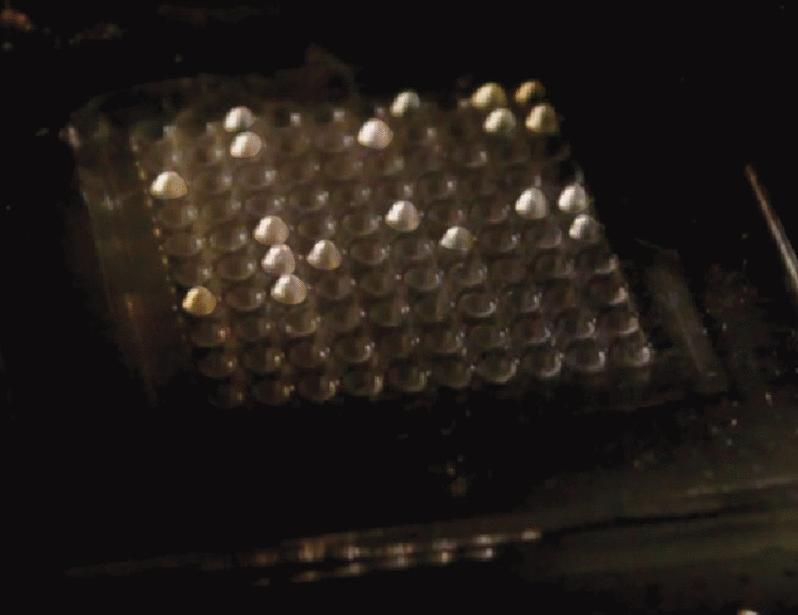 The codevelopment of soft robotics and assistive technology | Science Robotics