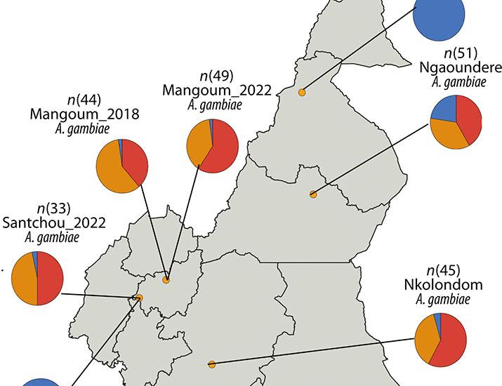 The E205D mutation in CYP6P3 drives pyrethroid insecticide resistance in the African malaria mosquito vector Anopheles gambiae | Science Translational Medicine