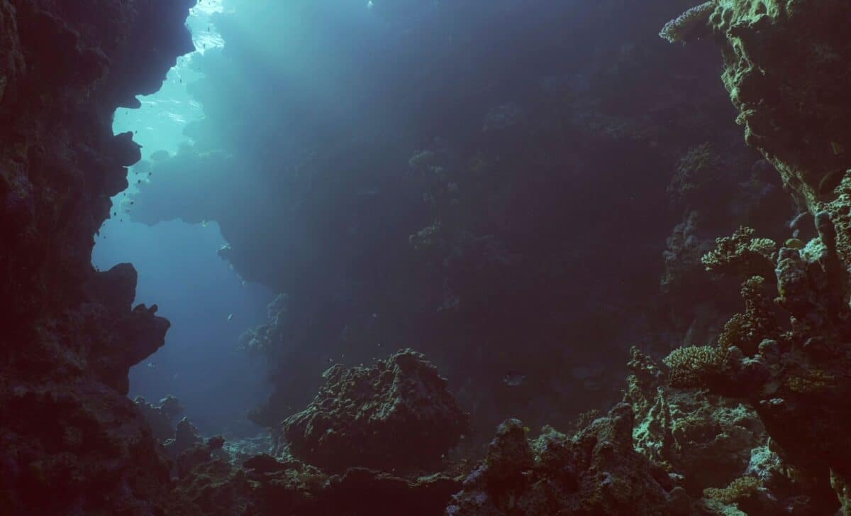 A Chinese Team Found Something Incredible 10,000 Meters Below the Ocean, Here’s What What They Discovered