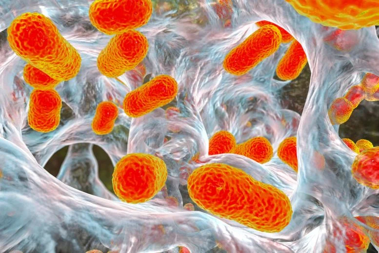 This Hidden Sugar Could Help Defeat Superbugs