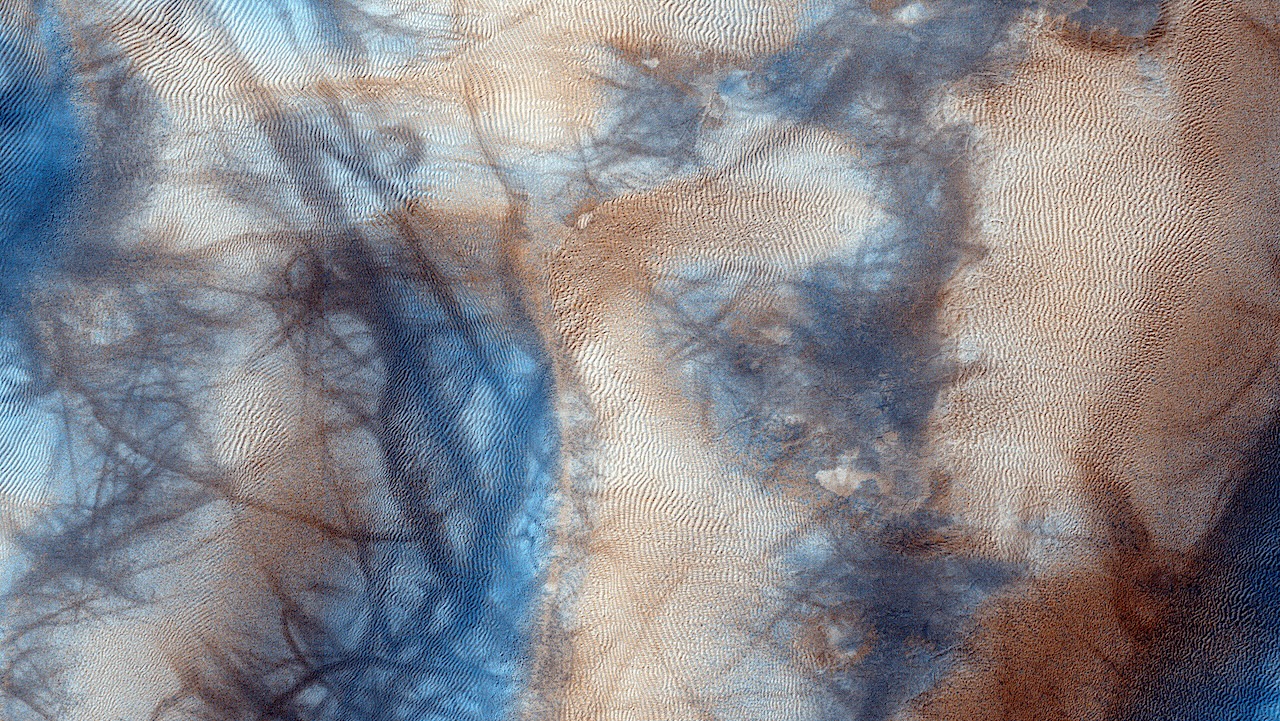 Active High-Latitude Dune-Gullies On Mars
