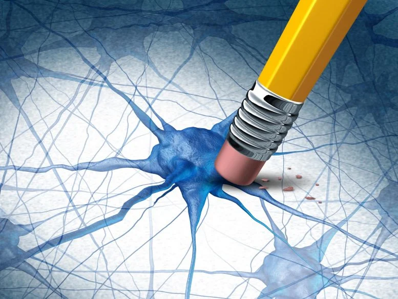 Boosting a Natural Molecule Reverses Alzheimer’s Brain Damage in New Study