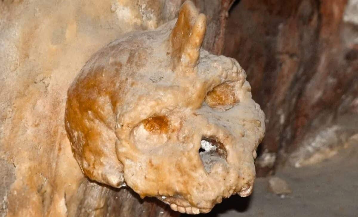 A 300,000-Year-Old Ancient Greek Skull Was neither Human nor Neanderthal. It Belonged to Someone Unexpected