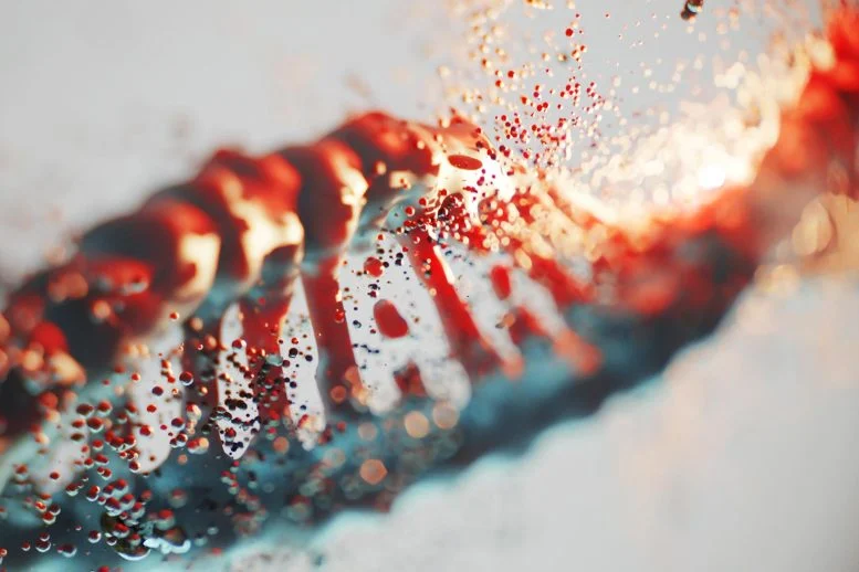 A Surprising Genetic Discovery About How Vertebrates Emerged